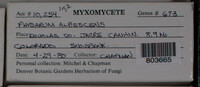 Image Associated With the Occurence